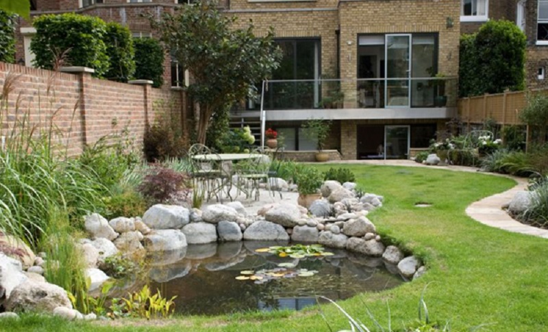 Everything You Need to Know About Garden Design In Auckland