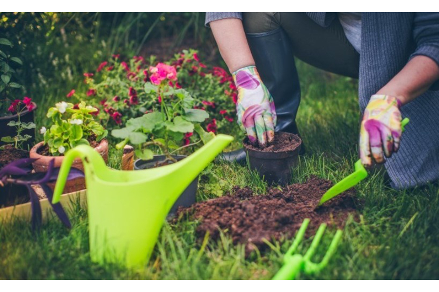 Hiring Irrigation Backflow Experts: Ensuring Water Safety and Compliance 