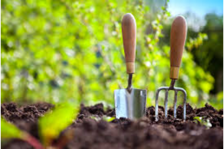 Should You Use a Removal Company or Do It Yourself