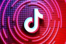 Buying TikTok Followers for Organic Growth: Key Stats